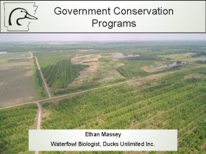 Government Conservation Programs Ethan Massey Waterfowl Biologist Ducks