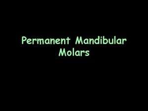 Permanent Mandibular Molars Introduction Larger in all dimensions