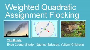 Weighted Quadratic Assignment Flocking The Boids Evan Cooper