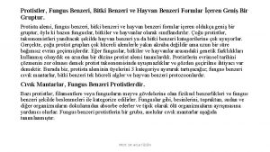 Protistler Fungus Benzeri Bitki Benzeri ve Hayvan Benzeri