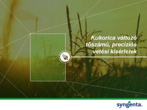 Kukorica vltoz tszm preczis vetsi ksrletek Mirt foglalkozzunk