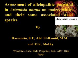 Assessment of allelopathic potential in Artemisia annua on