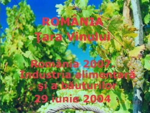 ROM NIA ara Vinului Romnia 2007 Industria alimentar