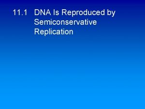 11 1 DNA Is Reproduced by Semiconservative Replication
