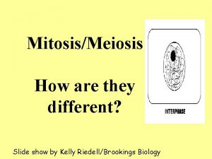 MitosisMeiosis How are they different Slide show by