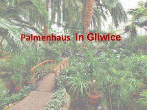 Palmenhaus in Gliwice Stdtisches Palmenhaus ist das drittgrte