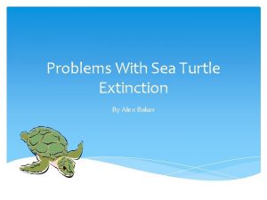 Problems With Sea Turtle Extinction By Alex Baker