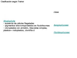 Clasificacin segn Trainor clase Rhodophyta ausencia de clulas