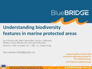 Understanding biodiversity features in marine protected areas Levi