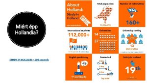 Mirt pp Hollandia STUDY IN HOLLAND 100 seconds