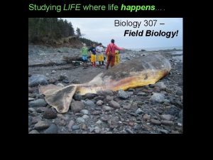 Studying LIFE where life happens Biology 307 Field