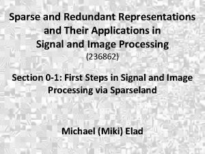 Sparse and Redundant Representations and Their Applications in