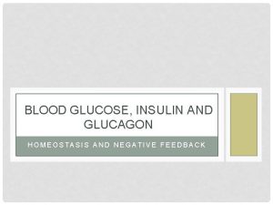 BLOOD GLUCOSE INSULIN AND GLUCAGON HOMEOSTASIS AND NEGATIVE