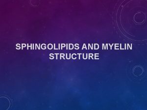 SPHINGOLIPIDS AND MYELIN STRUCTURE OUTLINES Objectives Background Key