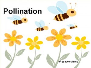 Pollination 6 th grade science What is Pollination