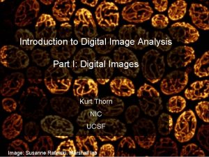 Introduction to Digital Image Analysis Part I Digital