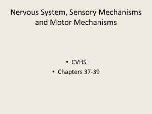 Nervous System Sensory Mechanisms and Motor Mechanisms CVHS