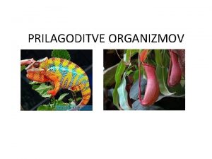 PRILAGODITVE ORGANIZMOV Oglejte si kratek film o prilagoditvah