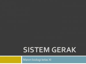 SISTEM GERAK Materi biologi kelas XI Peta Konsep