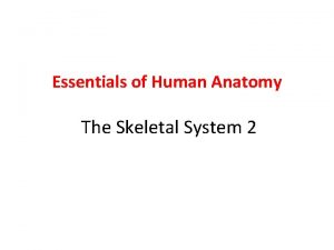 Essentials of Human Anatomy The Skeletal System 2