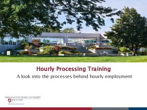 Hourly Processing Training A look into the processes