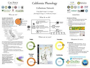 California Phenology Collections Network Using digital images to