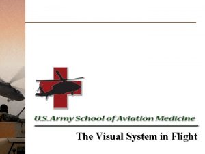 The Visual System in Flight Visual Test What