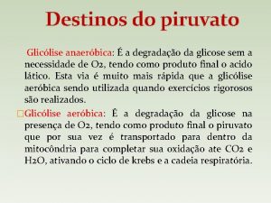 Destinos do piruvato Gliclise anaerbica a degradao da