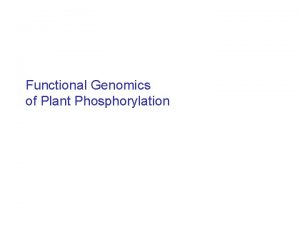 Functional Genomics of Plant Phosphorylation Bioinformatics Michael Gribskov