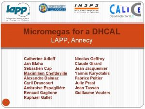 Micromegas for a DHCAL LAPP Annecy Catherine Adloff