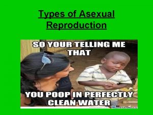 Types of Asexual Reproduction What is Asexual Reproduction