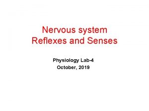 Nervous system Reflexes and Senses Physiology Lab4 October