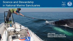 Science and Stewardship in National Marine Sanctuaries John