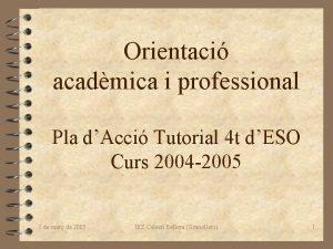 Orientaci acadmica i professional Pla dAcci Tutorial 4