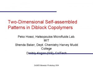 TwoDimensional Selfassembled Patterns in Diblock Copolymers Peko Hosoi