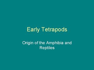 Early Tetrapods Origin of the Amphibia and Reptiles