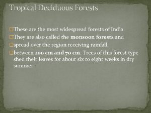 Tropical Deciduous Forests These are the most widespread