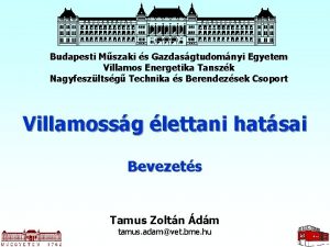 Budapesti Mszaki s Gazdasgtudomnyi Egyetem Villamos Energetika Tanszk