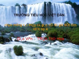 TRNG TIU HC VIT D N cho mng