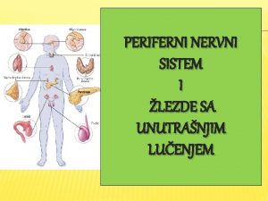 PERIFERNI NERVNI SISTEM I LEZDE SA UNUTRANJIM LUENJEM