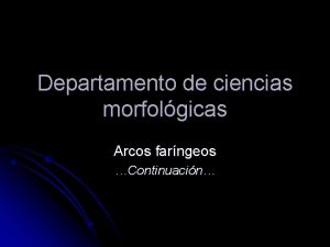 Departamento de ciencias morfolgicas Arcos farngeos Continuacin PRIMERA