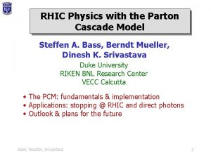 RHIC Physics with the Parton Cascade Model Steffen