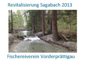 Revitalisierung Sagabach 2013 Fischereiverein Vorderprttigau Dokumentation 1 Sagabach