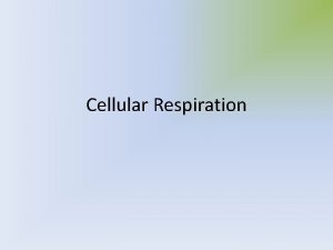 Cellular Respiration What is respiration What is respiration