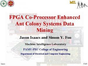 MIL FPGA CoProcessor Enhanced Ant Colony Systems Data