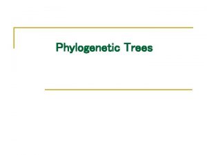 Phylogenetic Trees Phylogeny PHYLOGENY coined 1866 Haeckel 1