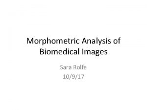 Morphometric Analysis of Biomedical Images Sara Rolfe 10917