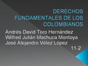 DERECHOS FUNDAMENTALES DE LOS COLOMBIANOS Andrs David Toro