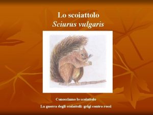 Lo scoiattolo Sciurus vulgaris Conosciamo lo scoiattolo La