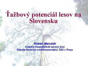 abov potencil lesov na Slovensku Rbert Maruk Katedra